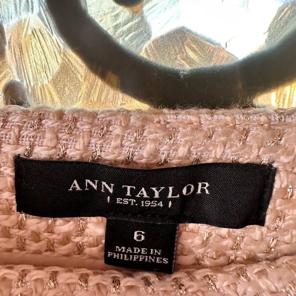 Ann Taylor Pencil Skirt